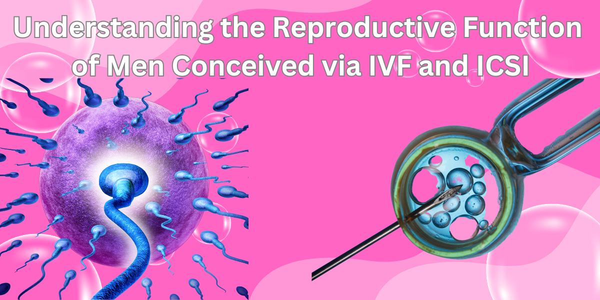 Understanding the Reproductive Function of Men Conceived via IVF and ICSI