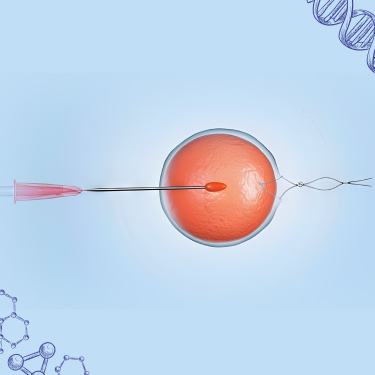 AVF Clinic's Fertility Treatment Success Celebration