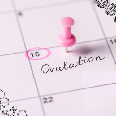 AVF Clinic's Fertility Treatment Success Celebration